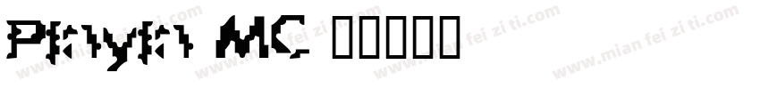 Pinyin MC字体转换